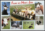 Faune des Monts Jura - Vaches sur la route des pâturages d'été - Chamois - Vache Montbéliarde - Bouquetin - Bisons - Grand Tétras - Cheval Comtois