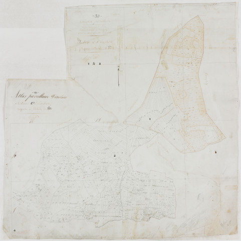 Arbois, section C, feuilles 1 et 2. [1810]géomètre : Perrard