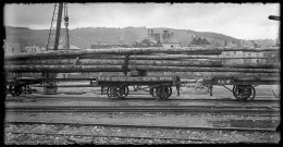 Train de la compagnie de chemins de fer P.L.M. chargé de bois en gare de Morteau.