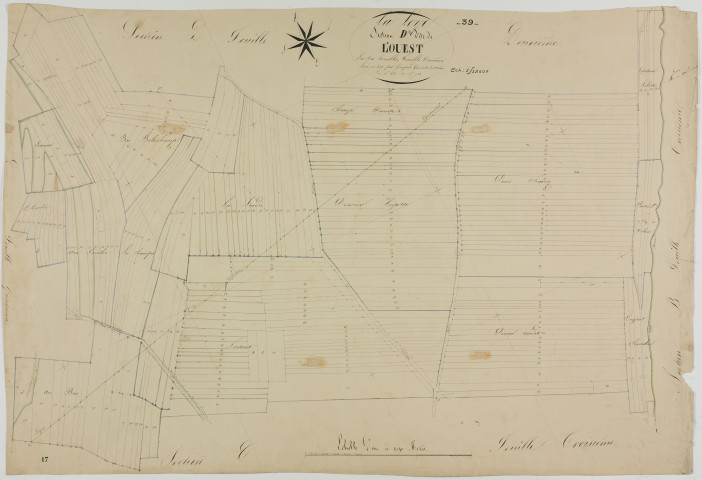 Loye (La), section D, l'Ouest, feuille 3.géomètre : Guyard