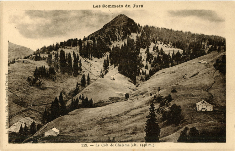 Massif du Jura. 559. Le crêt de Chalam, alt.1548m. Bellegarde, L. Michaux.