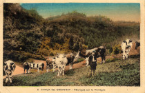 Chaux-des-Crotenay (Jura). Pâturages sur la montagne. Un jeune garçon garde un troupeau de vaches. Chaux-des-Crotenay (Jura), Coste.