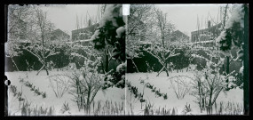 Effet de neige dans le jardin de Jean Rameaux à Romainville.