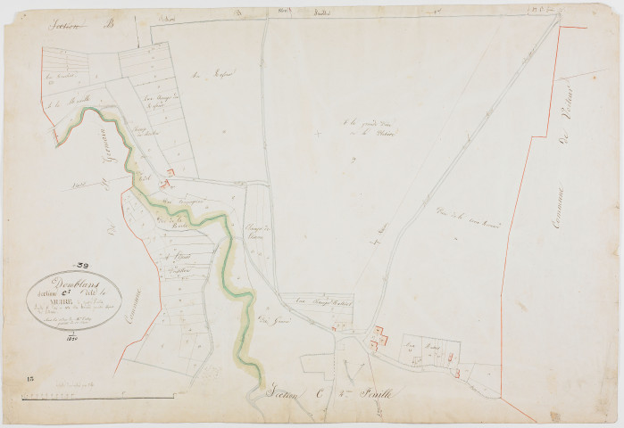 Domblans, section C, la Muire, feuille 1.géomètre : Romand