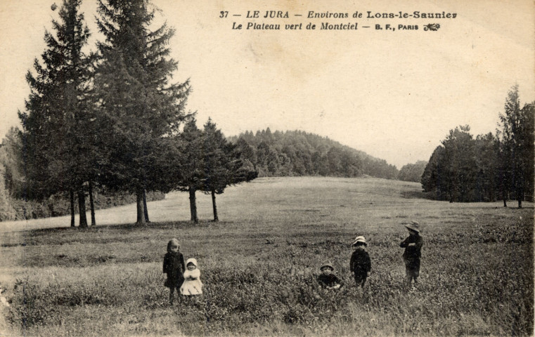 Environs de Lons-le-Saunier (Jura). 37. Le Plateau vert de Montciel. Paris, B.F.