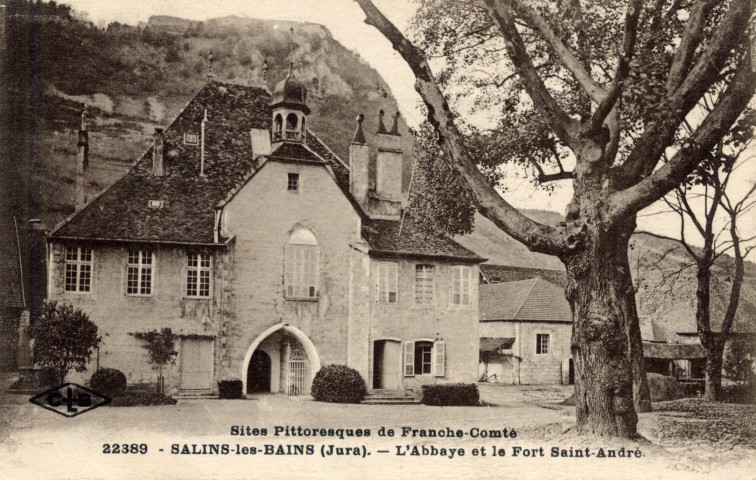 Salins-les-Bains (Jura). 22389. L'Abbaye et le Fort Saint André. Besançon, C. Lardier.