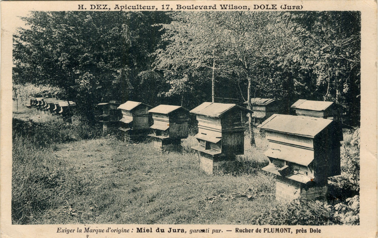 Dole (Jura). Le rucher H. Dez à Plumont. Ensemble du rucher H. Dez à Plumont, apiculteur 17 boulevard Wilson à Dole.