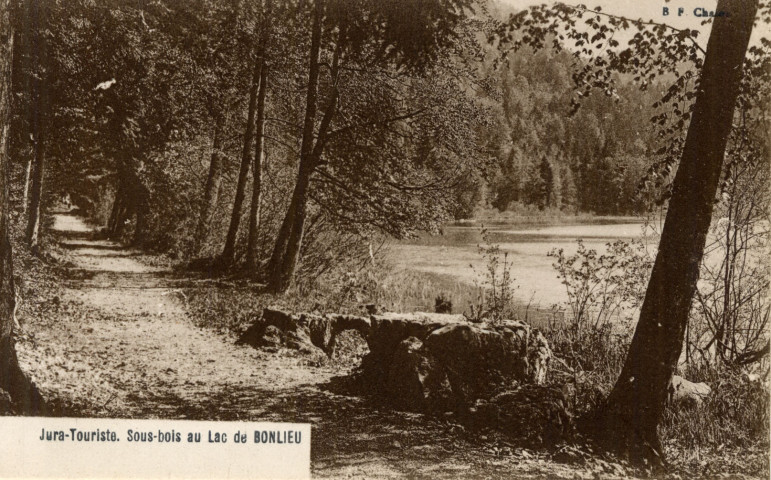 Bonlieu (Jura). Jura-Touristique, un sous-bois au lac de Bonlieu. Chalon, B.F.