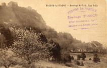 Salins-les-Bains (Jura). L'ermitage St-Roch et le fort Belin. Mâcon, Combier.