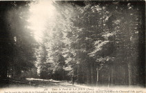 Dans la forêt de la Joux (Jura). Sur la route du groin de la Chalonière, le poteau indique le sentier qui conduit à la maison forestière du Chevreuil, alt. 7,50m. David-Mauvas.