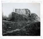 Ruines du château de Vaulgrenant à Pagnoz.