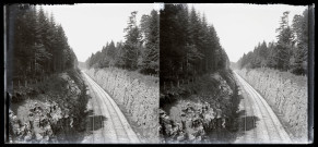 Exploitation de la forêt de la Joux par les soldats canadiens : tranchée sur la ligne de chemin de fer près de la gare de la Joux.