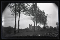 Ruines du château et ferme du Parc vus derrière une rangée d'arbres à Vers-en-Montagne.