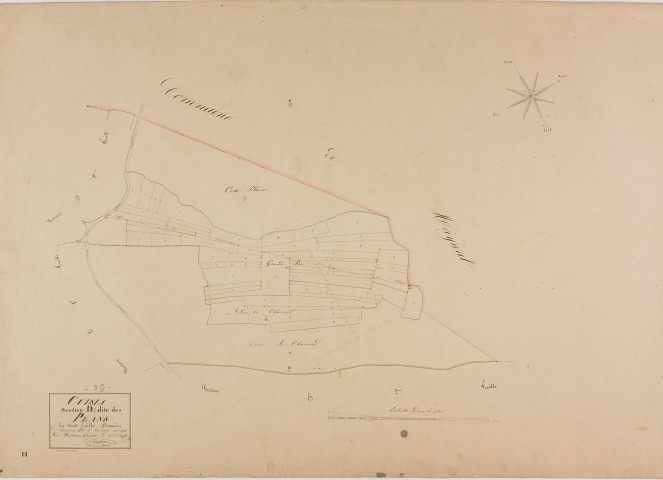 Cuisia, section D, les Plans, feuille 1.géomètre : Duchesne