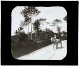 Reproduction d'une vue d'une calèche sur la route de Quimper-Bénodet.