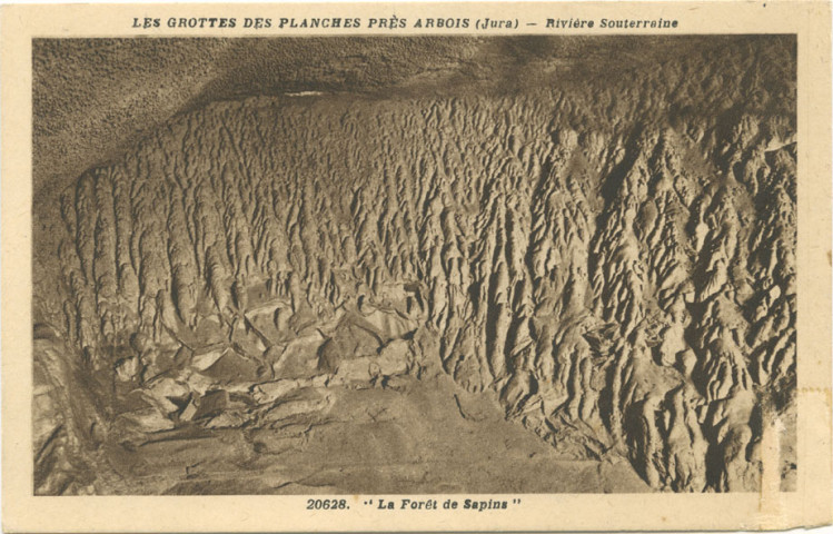 Les Planches près Arbois (Jura). 20628. Les Grottes : rivière souterraine "La Forêt de Sapins".