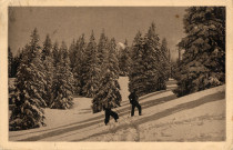 La Chaux-du-Dombief (Jura). Les sports d'hiver, alt. 900m. Chalon-sur-Saône, Bourgeois.