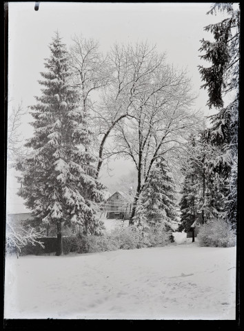 Arbres du Parc Nazareth de Vers-en-Montagne sous la neige.