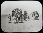 Reproduction d'une vue d'une caravane de chameaux portant des bassours dans le désert algérien.