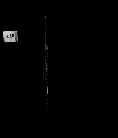 Naissances, publications de mariage, mariages, décès.