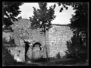 Ruines du château de Nozeroy, l'escalier d'honneur.