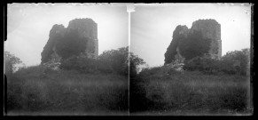Ruines du château de Montmorot.