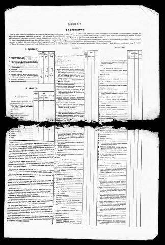 Résultats généraux, 1856-1881. Listes nominatives, 1841, 1846, 1851, 1856, 1861, 1866, 1872, 1876, 1891. Population classée par profession, 1891. Classement spécial des étrangers, 1891.