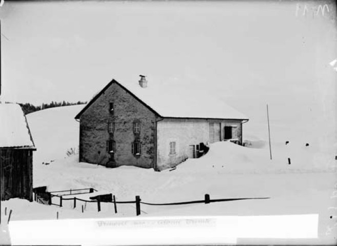 Colonie Trinité. Prénovel