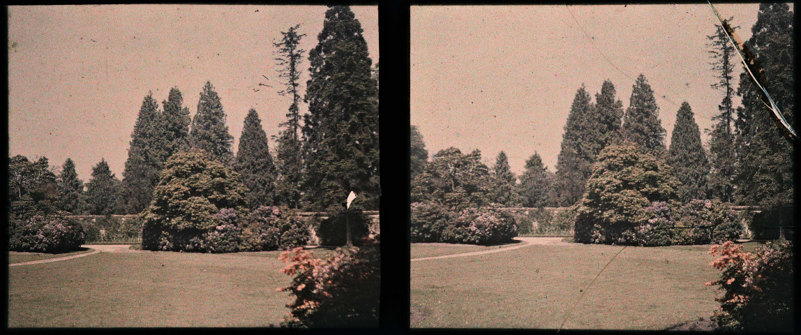 Parterres de rhododendrons.