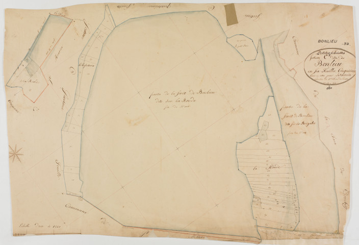 Bonlieu, section C, Bonlieu, feuille 5.géomètre : Jannin