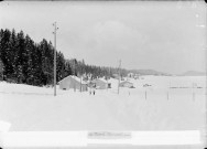 Les Piards. Prénovel