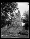Ruines du château de Nozeroy, une tour.