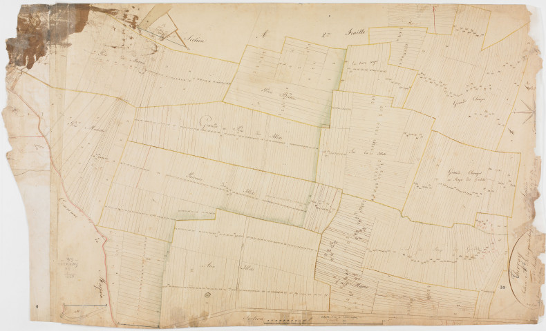 Thervay, section A, les Grands Champs, feuille 1.géomètre : [Tabey (aîné ?)]