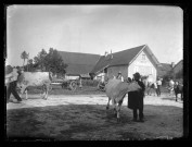 Foire sur la place devant le chalet de Vers-en-Montagne, un maquignon tient fermement une vache près de lui.