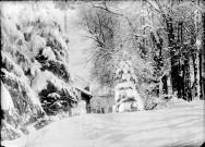 Forêt et maisons sous la neige