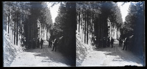 Groupe en promenade sur un chemin forestier.