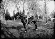 Un homme Marius Dussoullier sur un cheval. Mignovillard