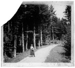 Jeune femme sur un chemin dans la forêt de la Fresse.