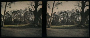 Parc du petit Trianon.