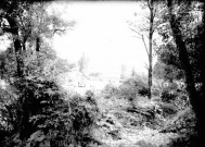 Personnes se baignant dans une rivière