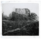 Ruines du château de Vaulgrenant à Pagnoz.