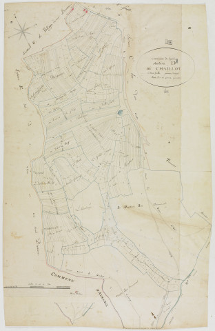 Gendrey, section D, Chaillot, feuille 1.géomètre : Grenot