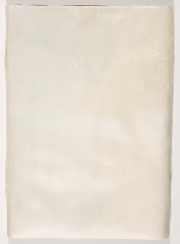 Recueil de textes et commentaires de droit canon.- Guillaume de Mandagout, De electionibus ; Tancrède de Bologne, Ordo judiciarius ; Barthélemy de Brescia, Quaestiones dominicales et veneriales; Rolandino Passaggieri, Summa rolandica (?) suivie de sa glose ; Pietro di Giovanni da Unzola, De arte notaria et De alimentis.