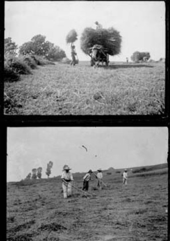 Personnes faisant les foins