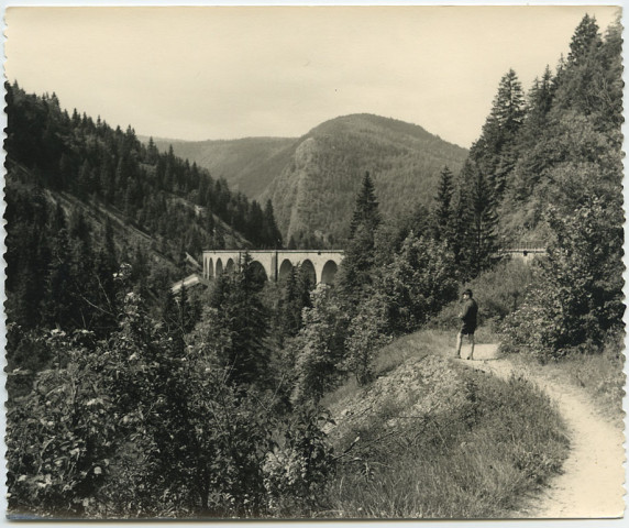 Viaducs de Morez vus de l'Evalude vers Morez.