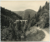 Viaducs de Morez vus de l'Evalude vers Morez.