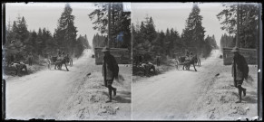 Exploitation de la forêt de la Joux par les soldats canadiens : militaires travaillant dans la forêt.