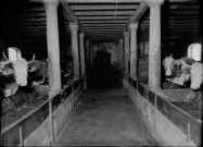 Etable de l'Asile du Sacré-Coeur de Marsonnas. Aromas