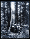 Quatre femmes posent devant le Sapin Président de la forêt de la Joux.