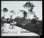 Reproduction d'une vue intitulée "Charrette bretonne".